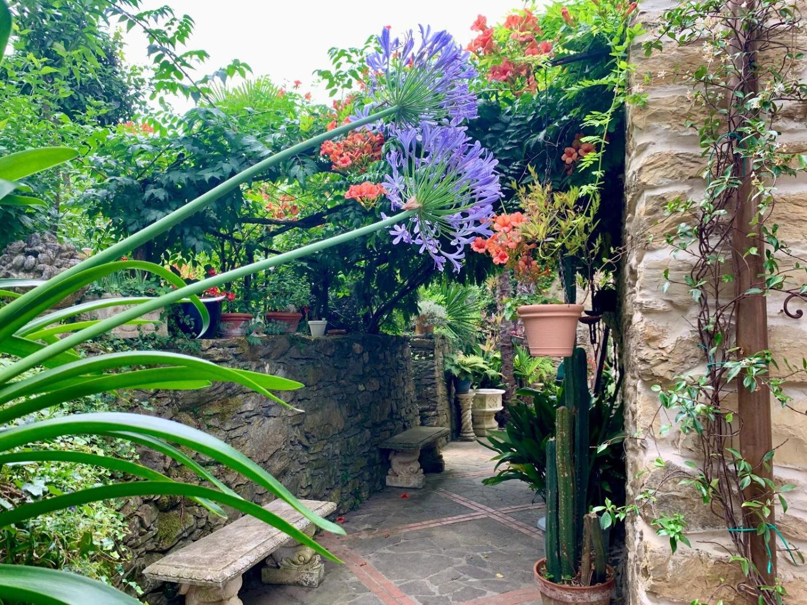 Borgata Cantone Country House B&B Garlenda Eksteriør bilde